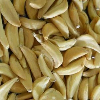 Dehidrirani stroki česna